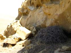 San Joaquin Geological Society 